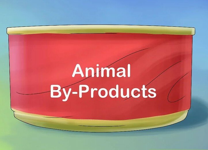 животные субпродукты в корме