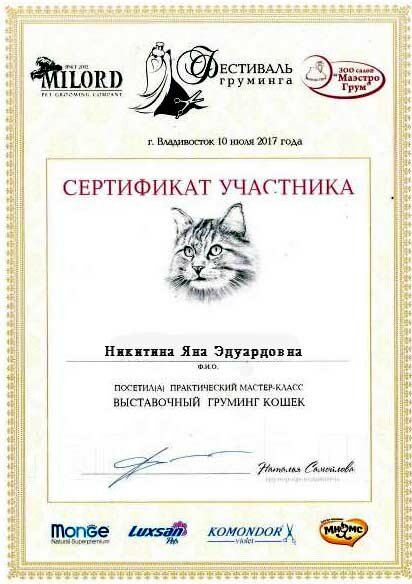 сертификат-10