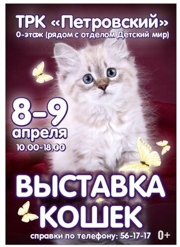 Приглашаем на Международную выставку кошек в Ижевске 8 и 9 апреля 2017 года в ТРК "Петровский"!